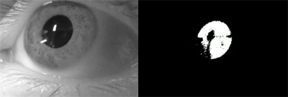 Pupil region isolated by thresholding